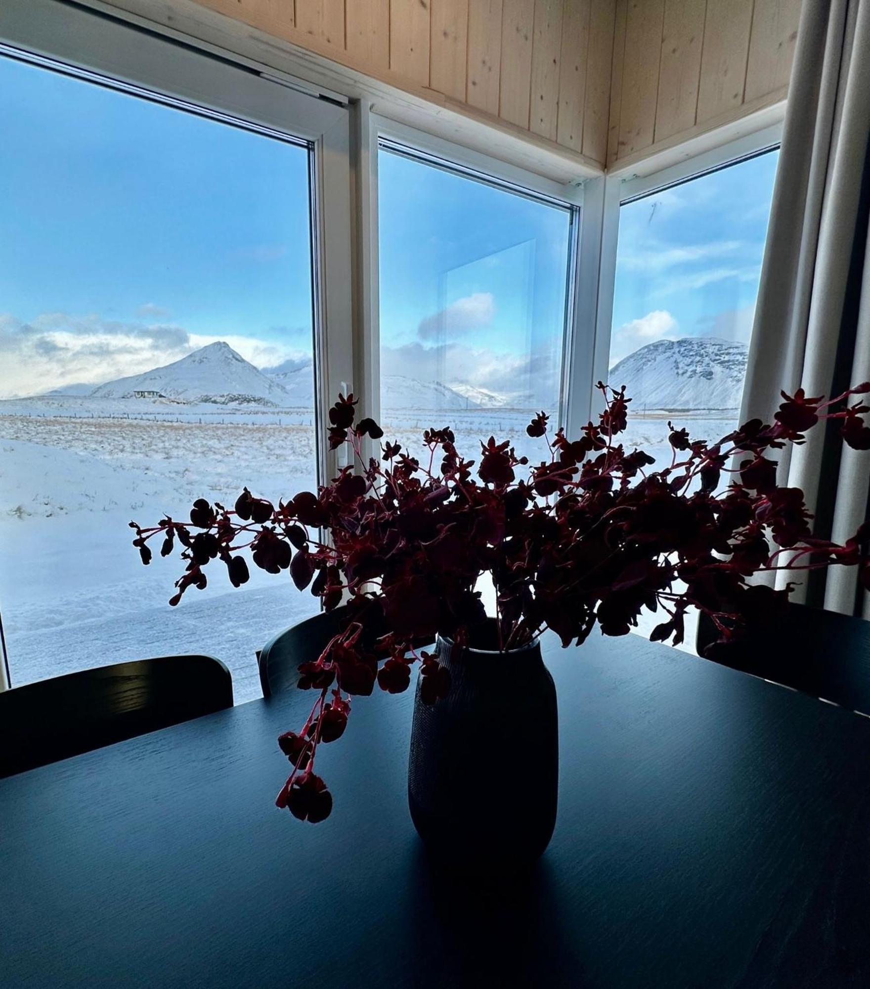 Rey Stays - House Höfn Buitenkant foto